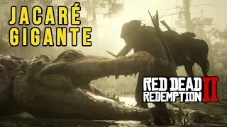 RED DEAD REDEMPTION 2 – JACARÉ GIGANTE LENDÁRIO (LOCALIZAÇÃO E CAÇA) | ANIMAIS LENDÁRIOS, RDR2