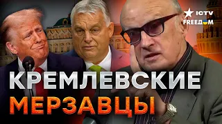 ОРБАН - НЕГОДЯЙ, а ТРАМП - НЕУЧ! Пионтковского ВЫБЕСИЛИ путинские ПЕШКИ