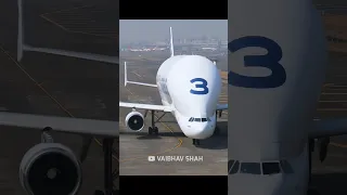 The Beast Airbus A300-600ST Beluga in Action at Mumbai Airport 🔥🔥🔥 #planespotting #aviation