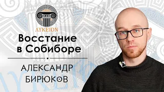 Восстание в Собиборе / Александр Бирюков, преподаватель АмГПГУ