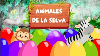 Huevos Sorpresas Animales Salvajes (Wild Animals & their Sounds) | Animales Selva Huevos Sorpresa