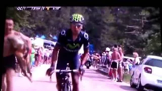 Stuffed Hog on Mont Ventoux: Taxidermy at the Tour de France 2013