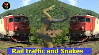 Rail traffic and Snakes, tunnels | Đoàn Tàu Hỏa và Rắn, Hầm