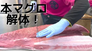 【職人技】『巨大本マグロの解体』に密着！「丸健水産」| キョウトピ  Huge Tuna , Japan, Sushi, Washoku