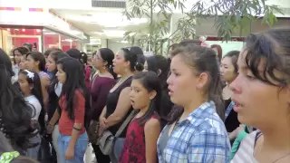 [파라과이 아리랑 플래시몹] Paraguay Arirang Flash Mob