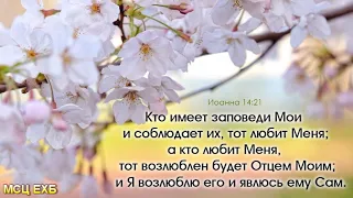 "Обрести благоволение пред Богом". Б. Б. Азаров. Проповедь. МСЦ ЕХБ.