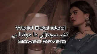 Nasha Sajna Daa• نشہ سجنڑاں دا ھوندا ہے• Wajid Ali Baghdadi Slowed Song| Saraiki Lofi Music