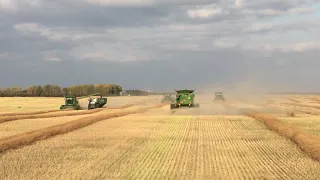 John Deere S790 combines harvesting canola