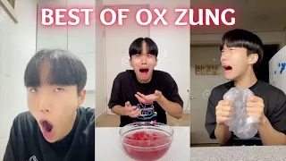 Ox Zung's Verification! Let's Try Latest and Trending Life Hacks Tiktok | Ox Zung {CEO of Mama} #2