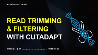 Paired-End Read Trimming and Filtering using Cutadapt Tutorial | Paired End Reads