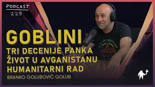 Goblini: Tri decenije panka | Branko Golubović Golub | Agelast 229