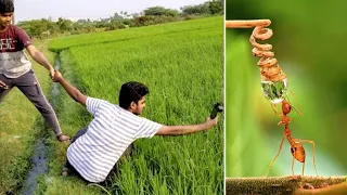 Парень из Индии делает потрясающие макроснимки насекомых на бюджетный смартфон