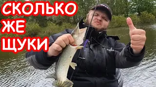 Да сколько же здесь щуки! Топ приманка на щуку. Ловля щуки весной