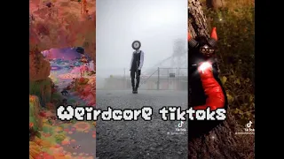 Weirdcore tiktoks but i got very lazy with this one