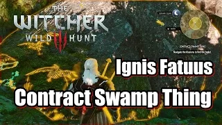 The Witcher 3 Wild Hunt Contract Swamp Thing Kill Ignis Fatuus