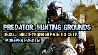 Predator: Hunting Grounds обход, инструкция играть по сети, проверка работы