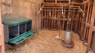 Como desinfectar y limpiar el gallinero a fondo / La granja en casa