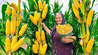 Harvesting Fresh and Organic Corn! Preserving Vegetables for Winter!