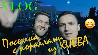 Посылка с кораллами из Киева.  VLOG.