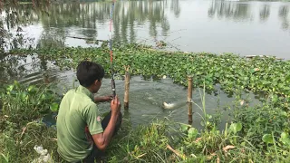 Best Hook Fishing Video 2022 | Traditional Boy Hunting Big Fish With Hook By River