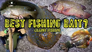 BEST FISHING BAIT?? | NEW YEARS EVE | SINGAPORE FISHING