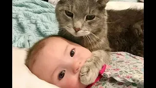 Кошка спасла двухмесячного младенца