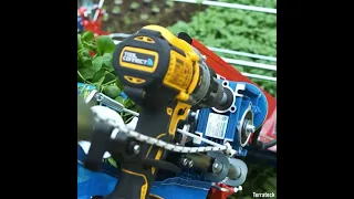 Innovative baby leaf harvester