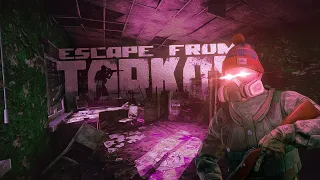 Chaotic Tarkov Memes