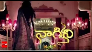 Naagini serial title song in telugu