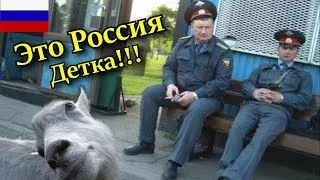 ЭТО РОССИЯ, ДЕТКА!!! Русские приколы 2016 Кубы Вайны Инстаграм TOP Funny Videos || Выпуск 60