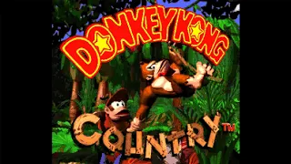 Donkey Kong Country - Full Game 101% Walkthrough (No Damage)