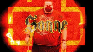 R.W. Presents: Sonne ft. Rammstein (Ai Cover)