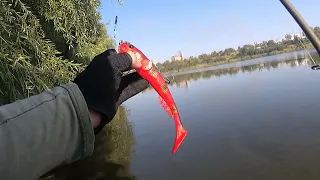 Goby Shad Savage Gear Карьер в городе