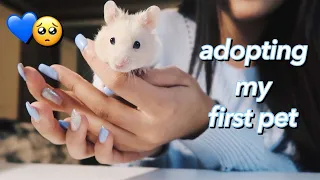 Adopting My First Pet!