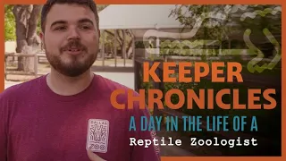 A Day in the life of a REPTILE ZOOLOGIST