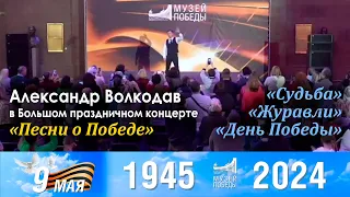 Александр Волкодав в Большом праздничном концерте «Песни о Победе» Музей Победы 9 мая 2024 г.