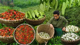 FULL VIDEO: Harvest white eggplant, chili, bitter melon, bamboo shoots, gourd to the market to sell