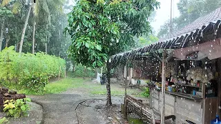Heavy Rain Walks In Beautiful Village | Village Life in Indonesia | Fall Asleep To The Sound Of Rain
