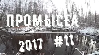 Промысел 2017  #11 Третье зимовье. Путик, охота, делюсь инфой..