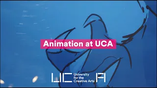 Study Animation | UCA