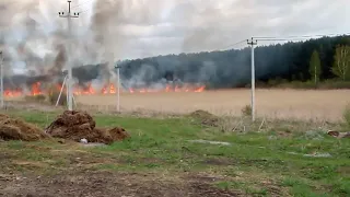 Неизвестные подожгли поле в Топках