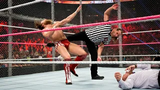 Shawn Michaels costs Daniel Bryan the WWE Title: WWE Hell in a Cell 2013