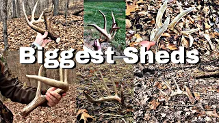 Big Shed Antlers : Compilation Big Woods Southern Ohio