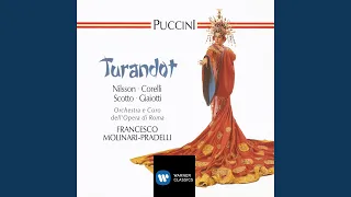 Turandot, Act 2: "In questa Reggia, or son mill'anni e mille" (Turandot, Coro, Calaf)