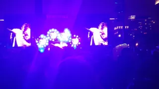 Red Hot Chili Peppers - Other Side Lollapalooza Chicago 2016