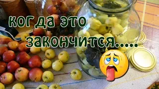 Короткий vlog. Пришла усталость, а дела не заканчиваются...