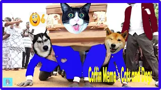 funny videos🤦🐐 Coffin Meme "Fails Dog and Cats"🙉🦢|V17| #Meow_Funny