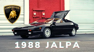 THE SMALLER AND RARER BABY COUNTACH - THE LAMBORGHINI JALPA