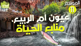 ✅ Amouddou TV Episode 162 / Oum AL-Rabie` Springs, The springs of life