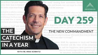 Day 259: The New Commandment — The Catechism in a Year (with Fr. Mike Schmitz)